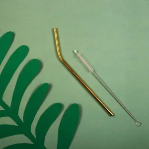 2 Brass Straws With Sisal Fibre Cleaner | 1 Straight And 1 Bent Straw | Travel Apt