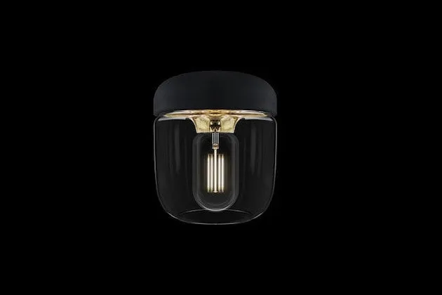 ACORN Black Pendant Light