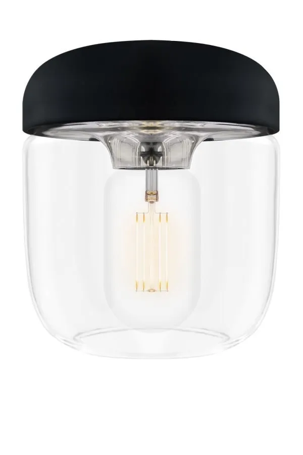 ACORN Black Pendant Light