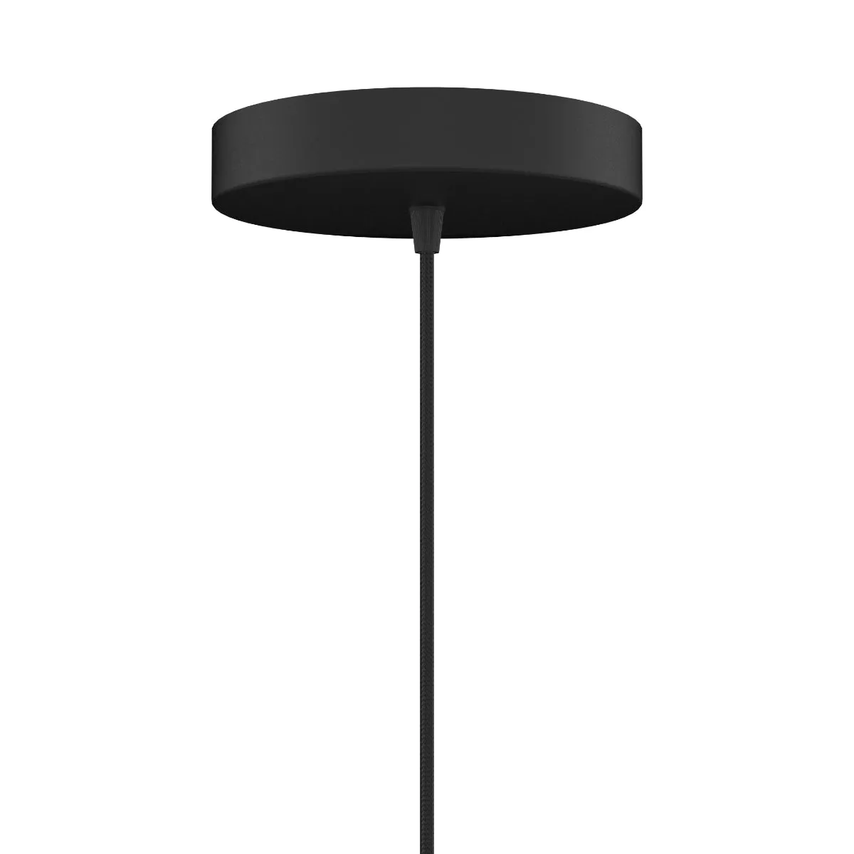 ACORN Black Pendant Light