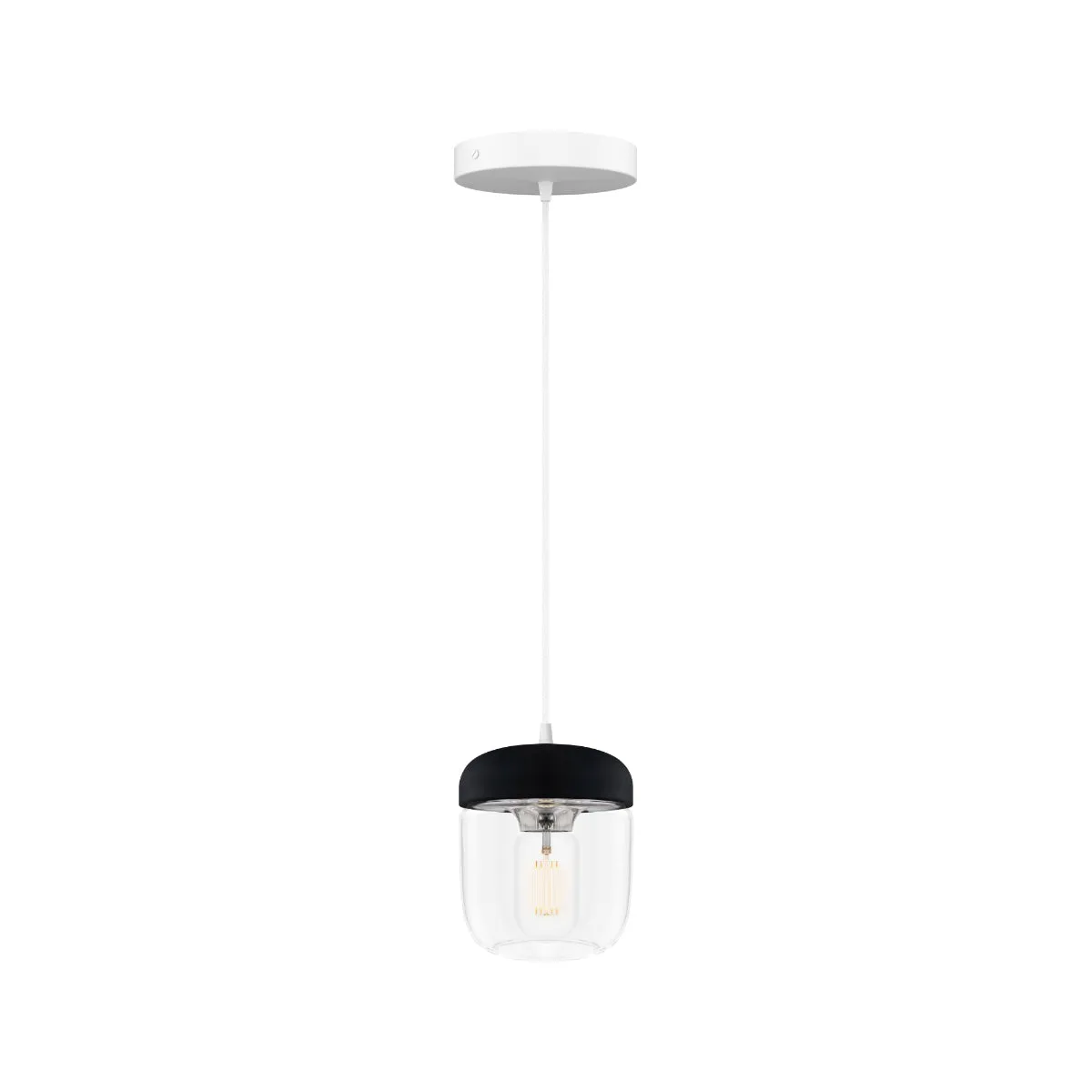 ACORN Black Pendant Light