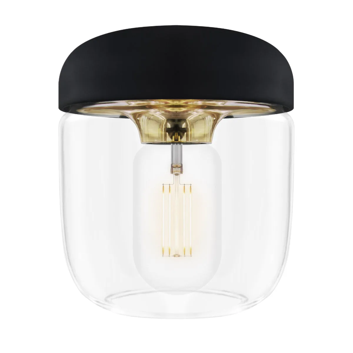 ACORN Black Pendant Light