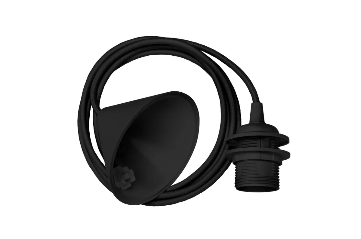ACORN Black Pendant Light