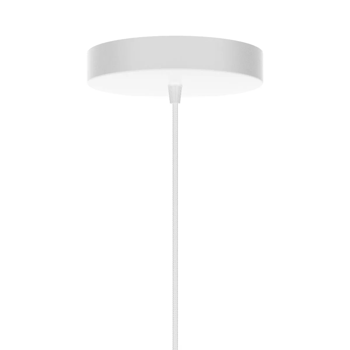 ACORN Black Pendant Light