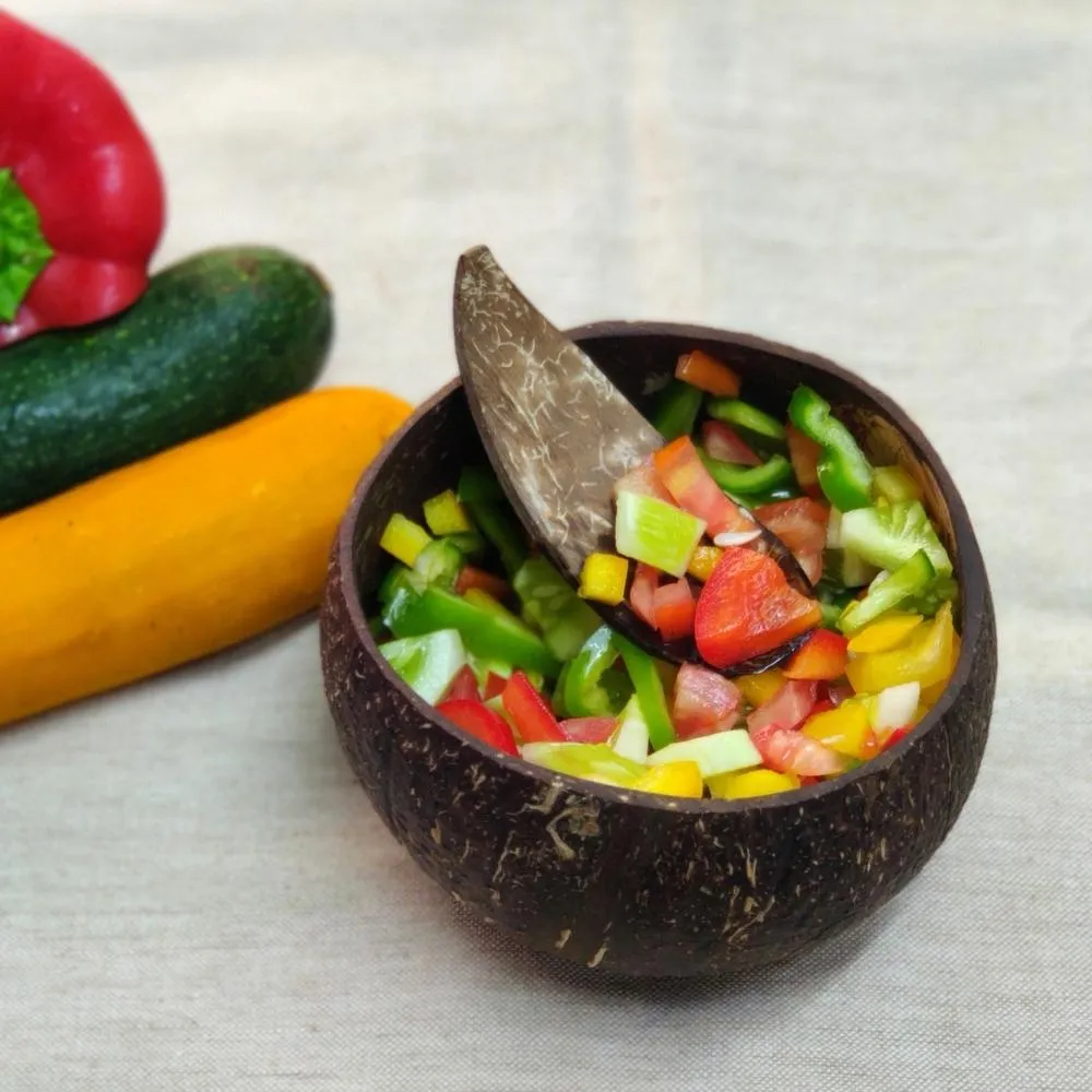 Coconut Shell Bowls | Serveware | Salad Bowls | Large | Single