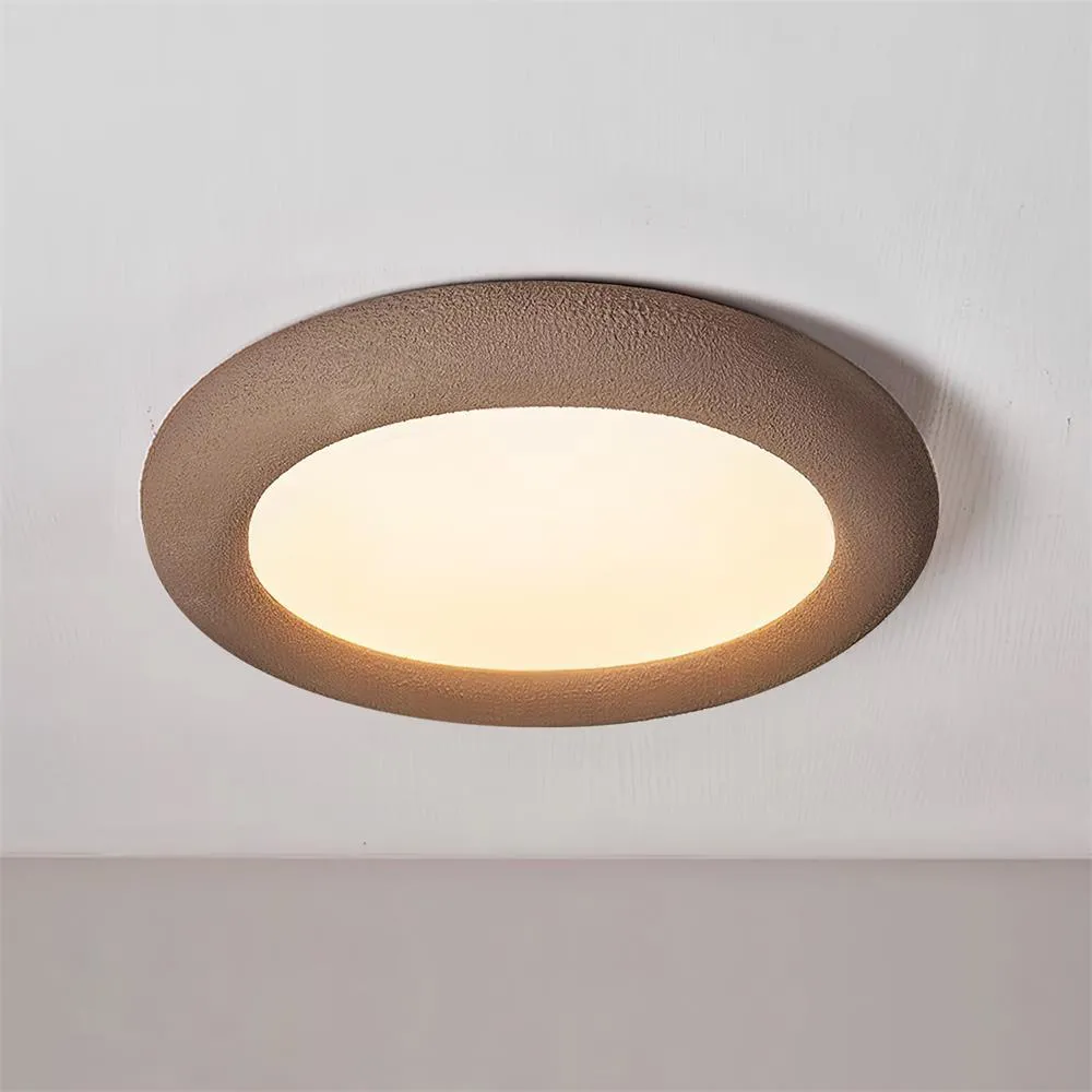 Concise Ceiling Light