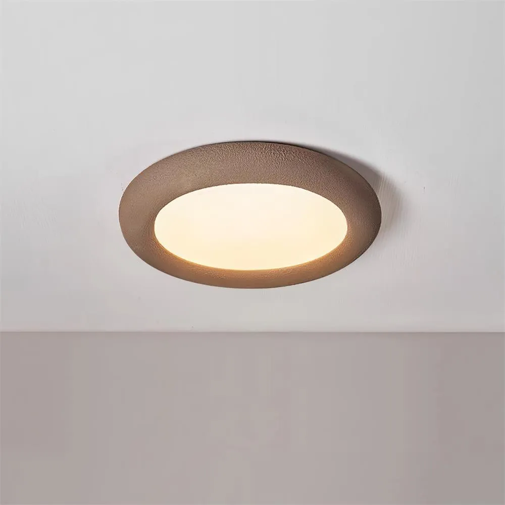 Concise Ceiling Light
