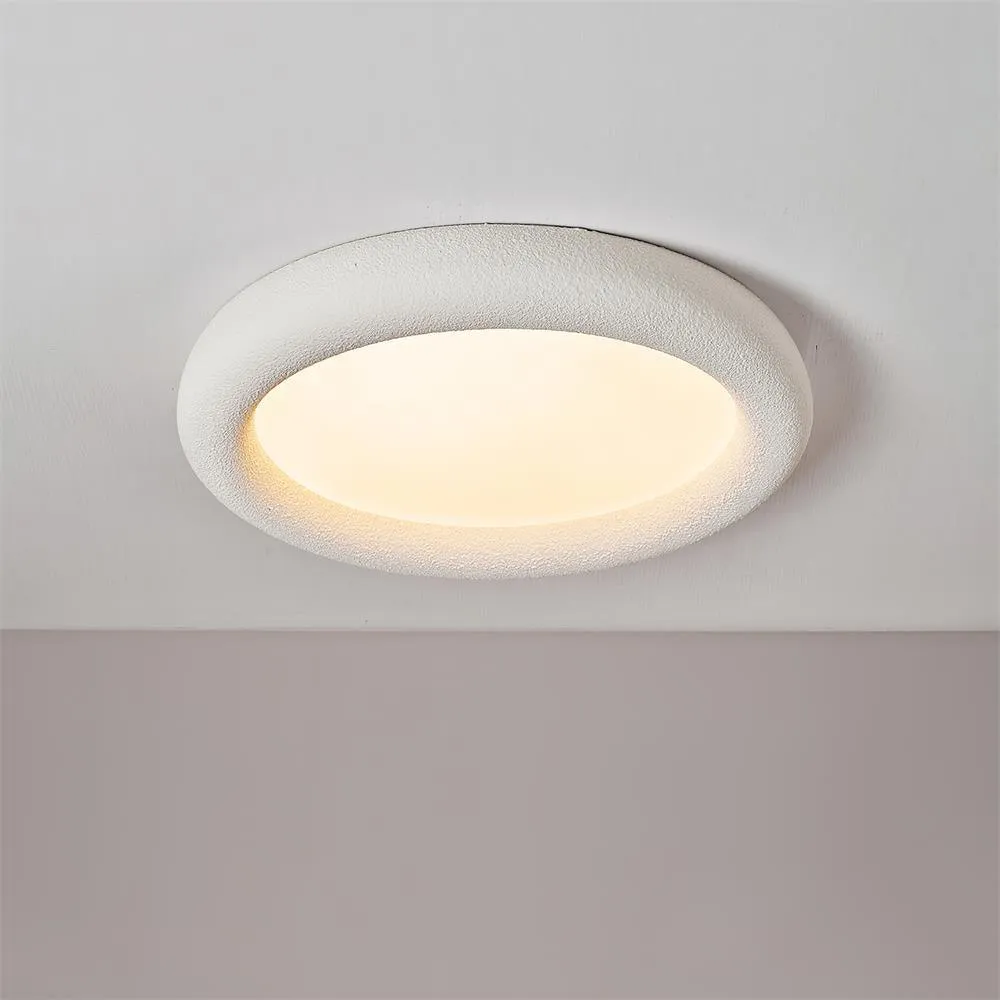 Concise Ceiling Light