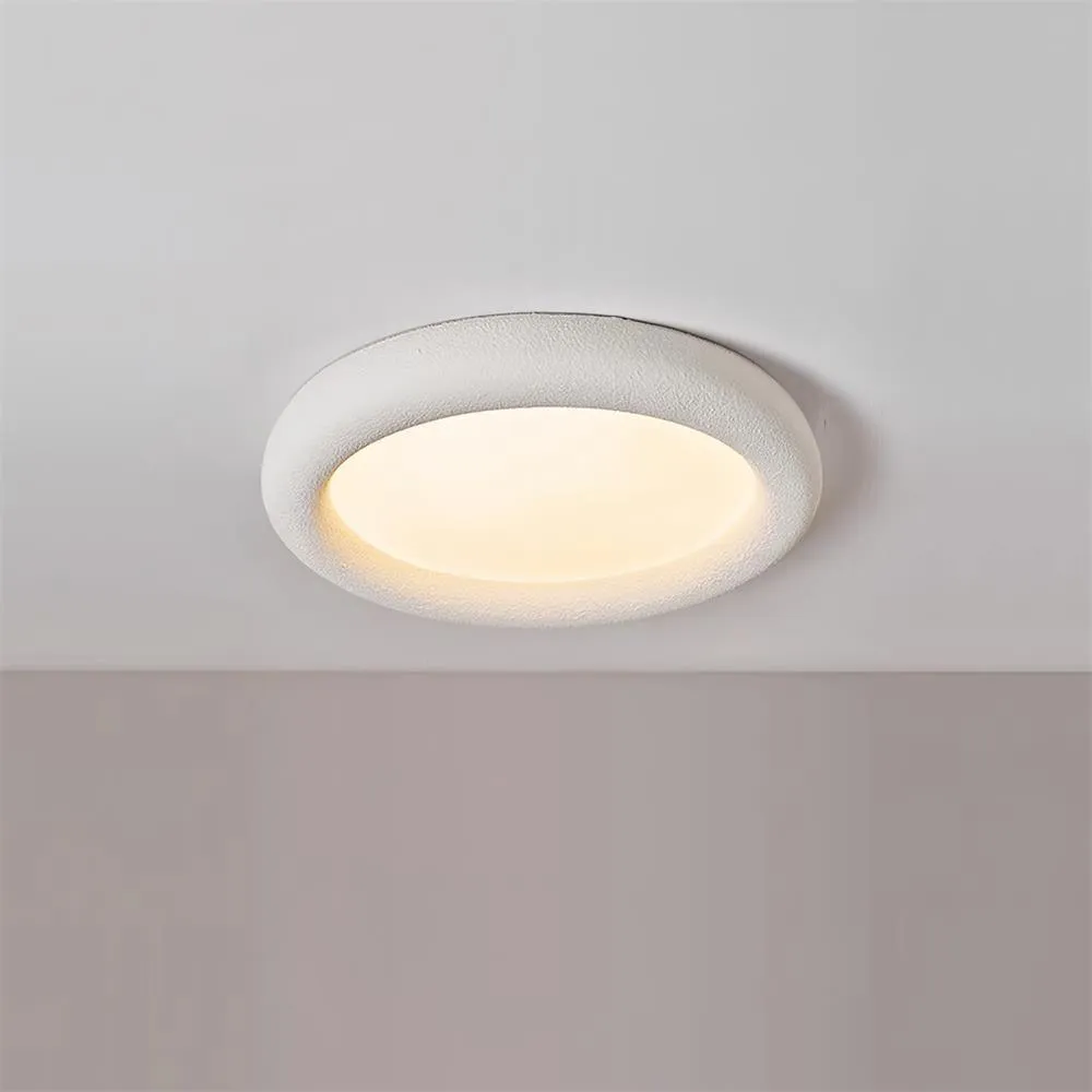 Concise Ceiling Light