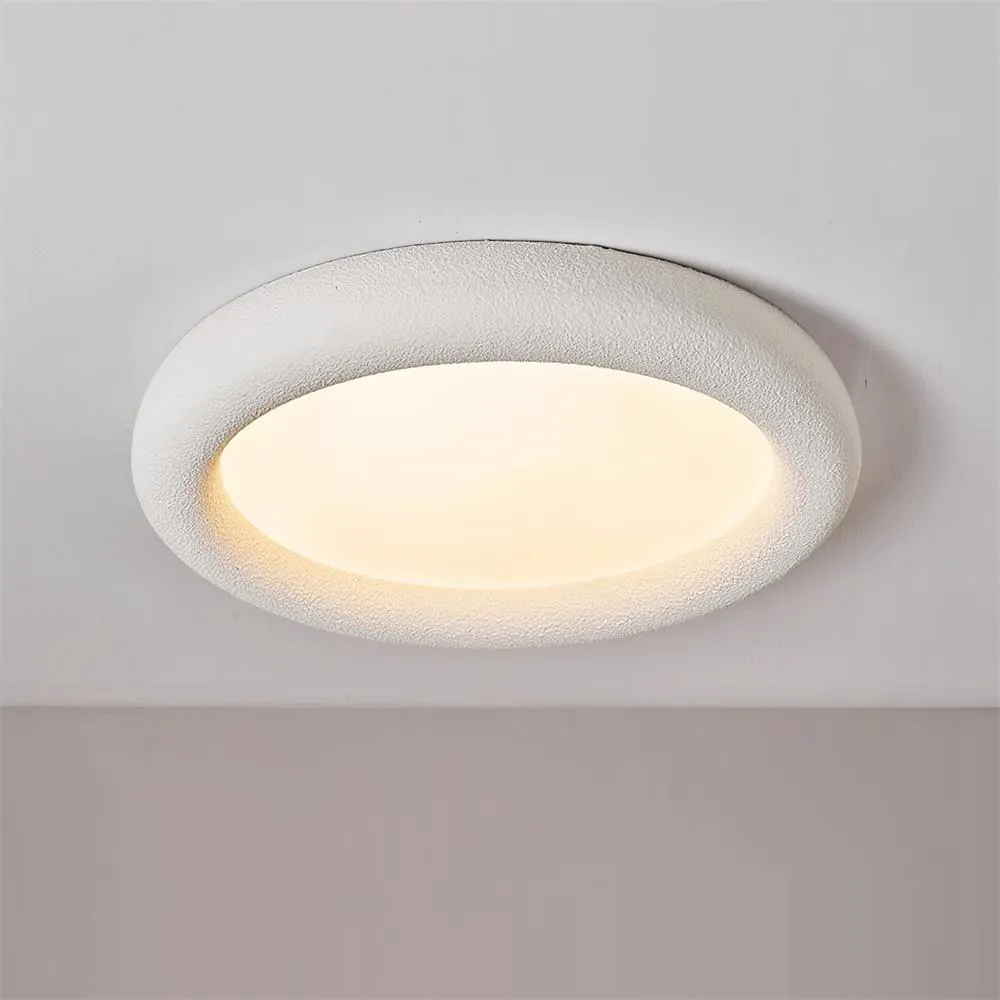 Concise Ceiling Light