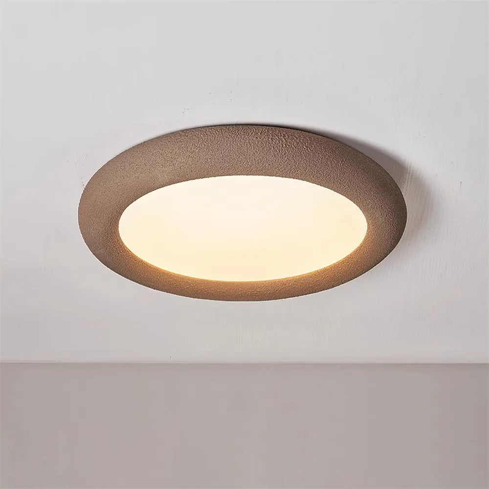 Concise Ceiling Light