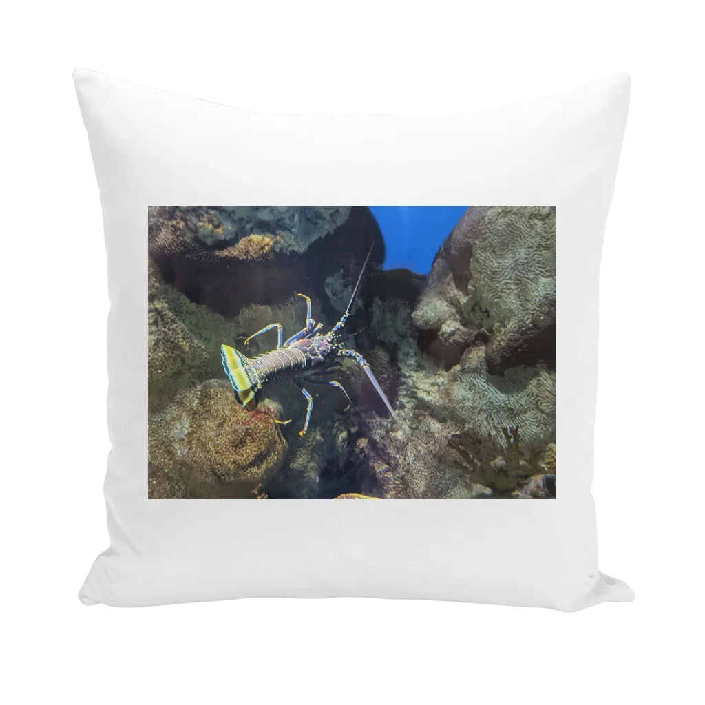 Lobster Throw Pillows