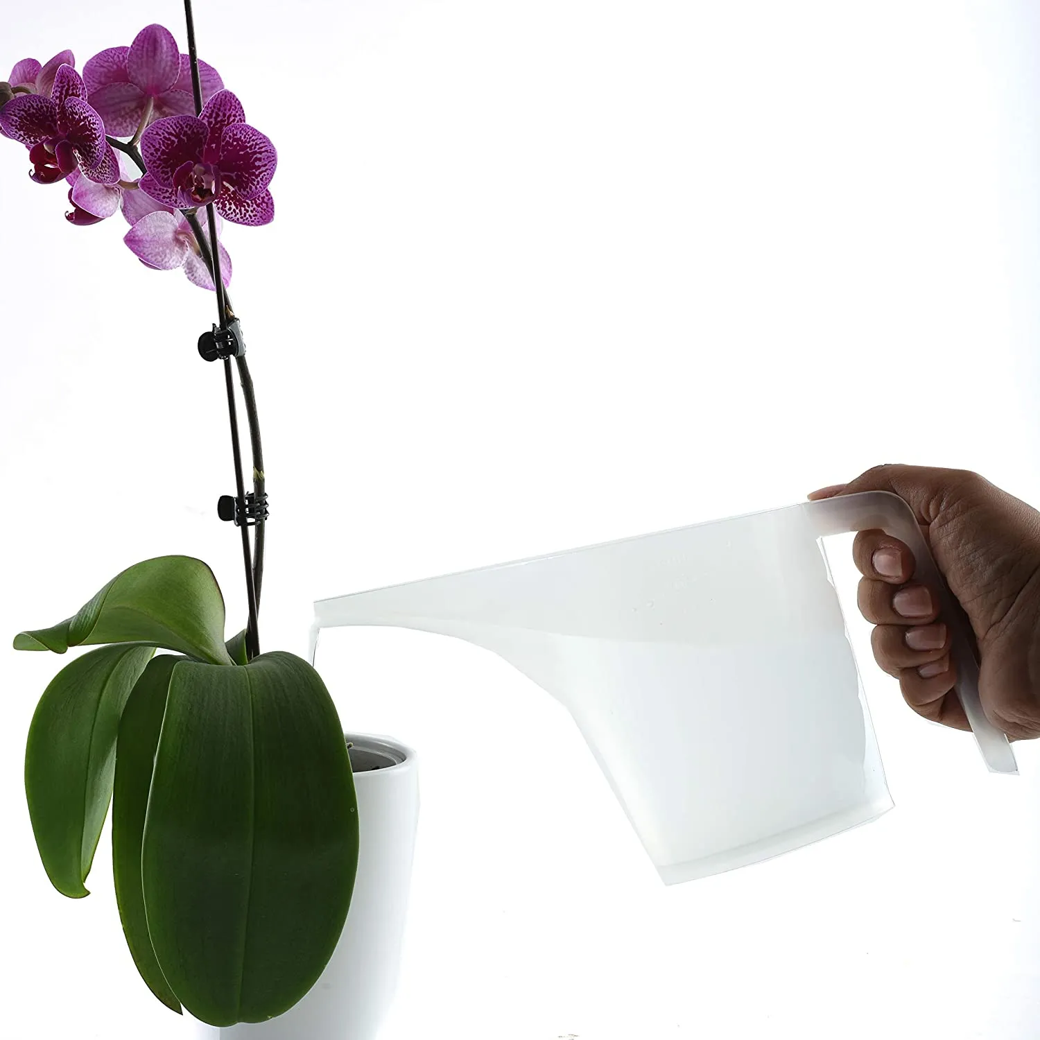 Norpro Funnel Pitcher for Measuring, 3.5 Cups/900ML