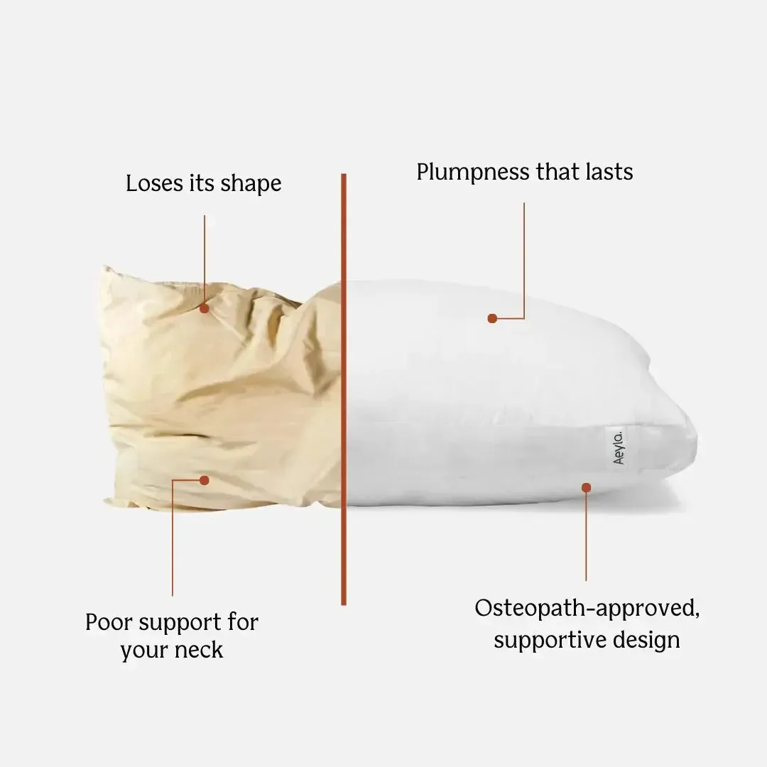 The Dual Pillow LP